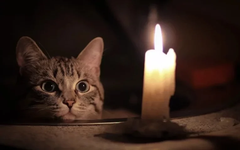 З 23 по 26 січня в Обухівському районі відключатимуть світло: де і коли