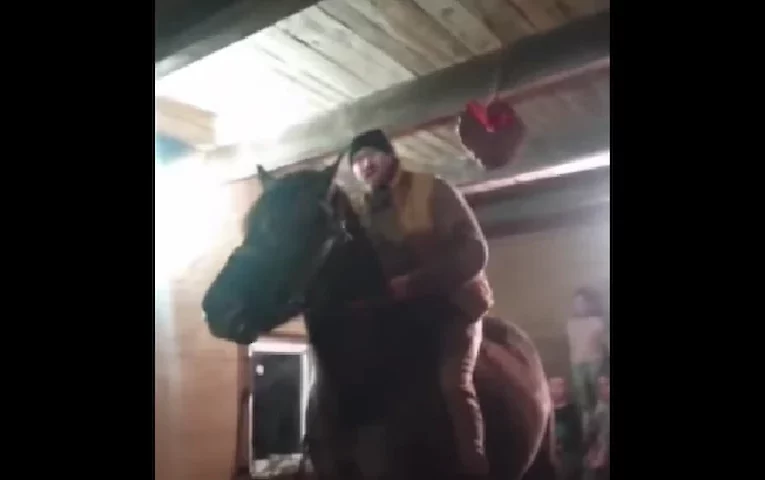 Коні й калачі: магія зимових свят