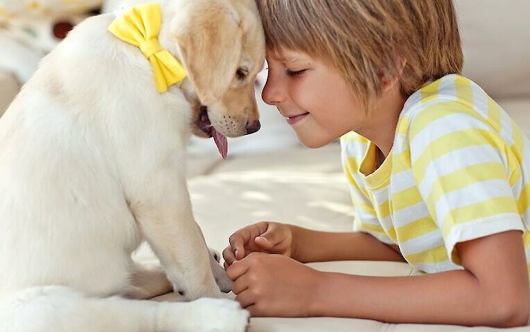 Хто розумніший: коти і собаки чи діти?