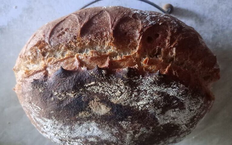 Я, мій хліб і наші факапи