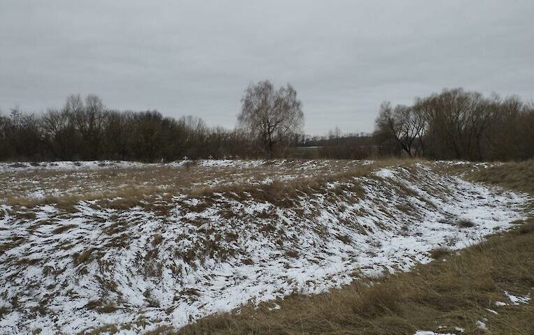 Унікальну ковилу знайшли на історичному городищі на Київщині