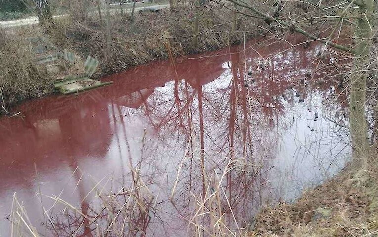 В селі неподалік Обухова виявили водойму незвичного кольору