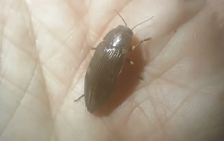 До бійців у бліндаж прийшов цікавий гість: хто він і чому це сталося