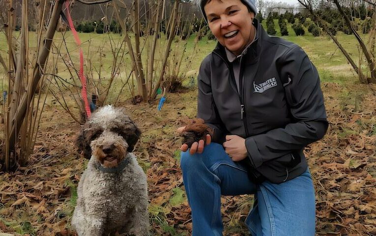 Як трюфельні собаки допомагають відкривати загадкові гриби