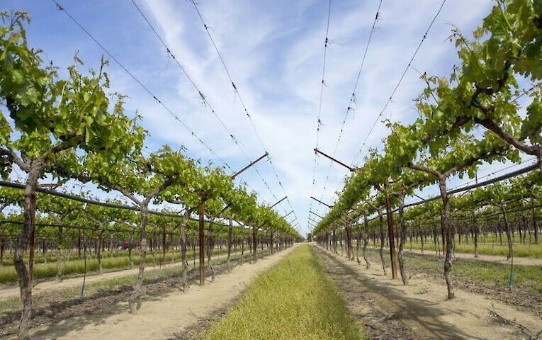 Чому жінки страждають більше від алкоголю, ніж чоловіки