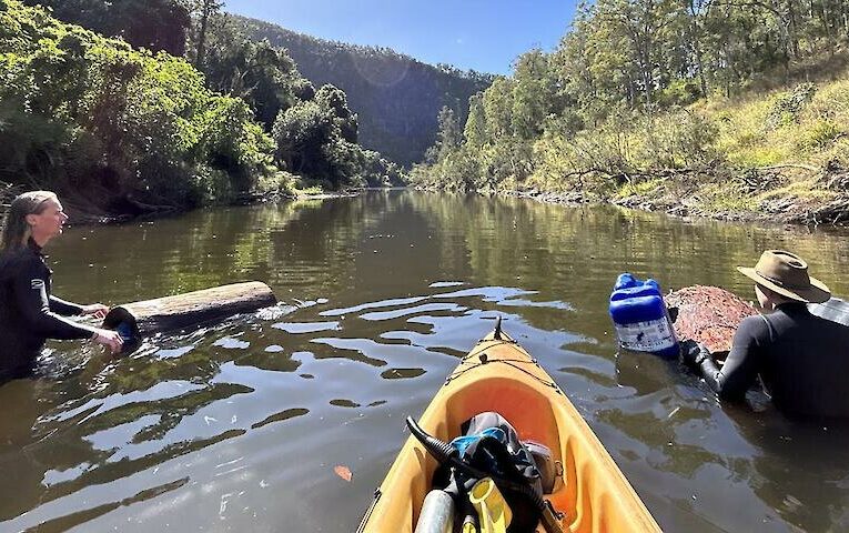 400 рішень для порятунку природи в умовах глобального потепління