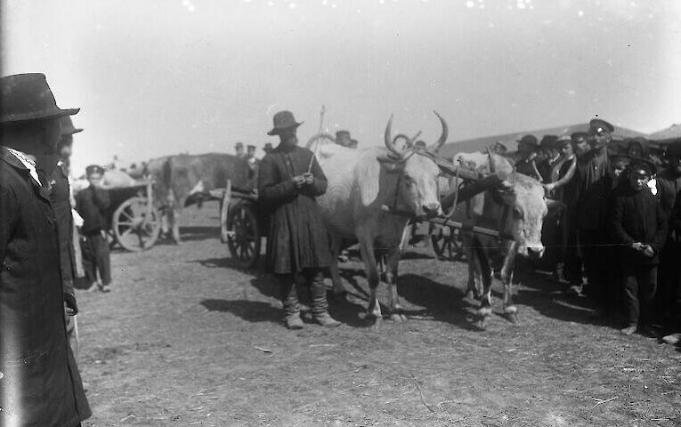 Обухів, люди, воли на початку 20 століття: гіпотези щодо однієї світлини