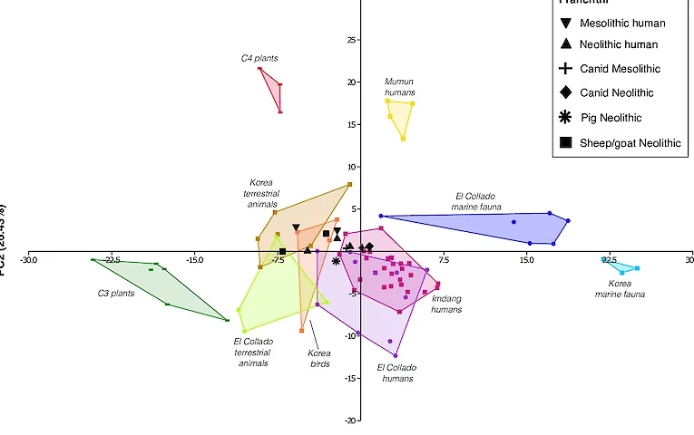 Чому стародавні греки ігнорували морепродукти?