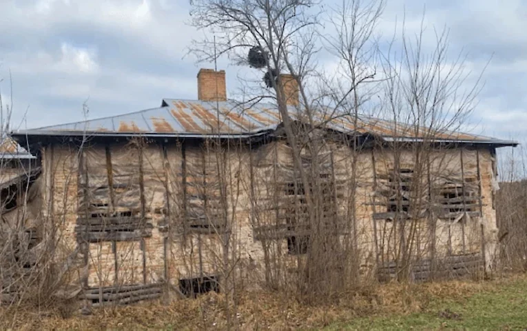 Мінкульт просять зупинити продаж садиби Браницьких на Обухівщині