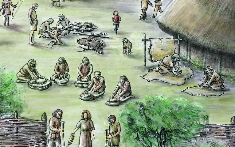 Дослідження розповіло, чим харчувалися давні фермери: особливості неолітичного меню