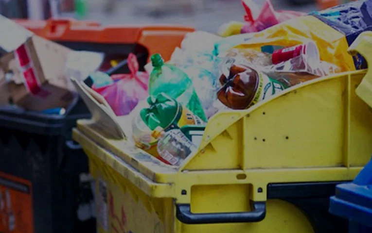 Сміттєвий скандал в Обухові: в міськраді проводять розслідування щодо керівниці профільного відділу