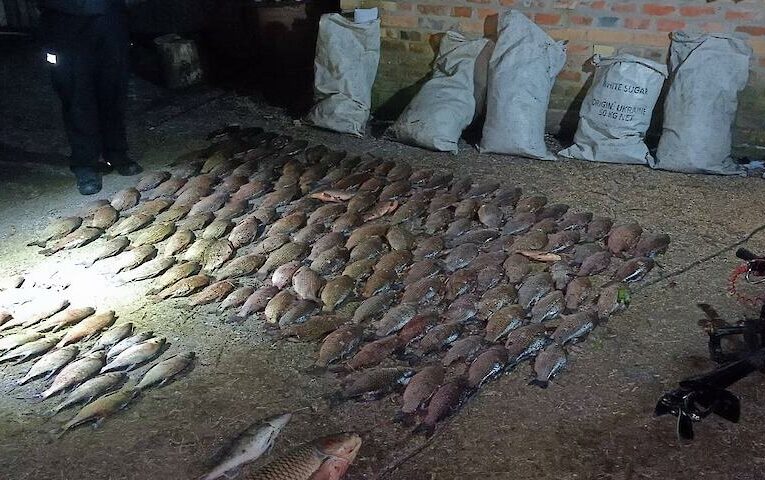 Понад 250 тис гривень збитків завдав браконьєр в Обухівському районі