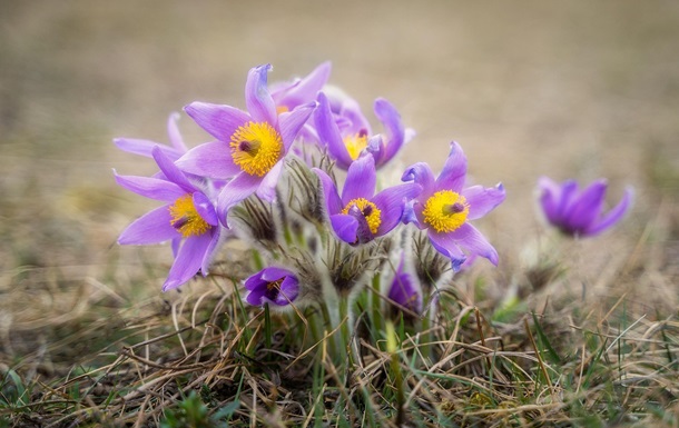 Відомо, якою буде погода в Україні на вихідних