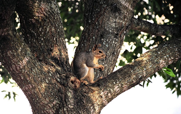 Гороскоп для знаків зодіаків на 25 березня 2025 року