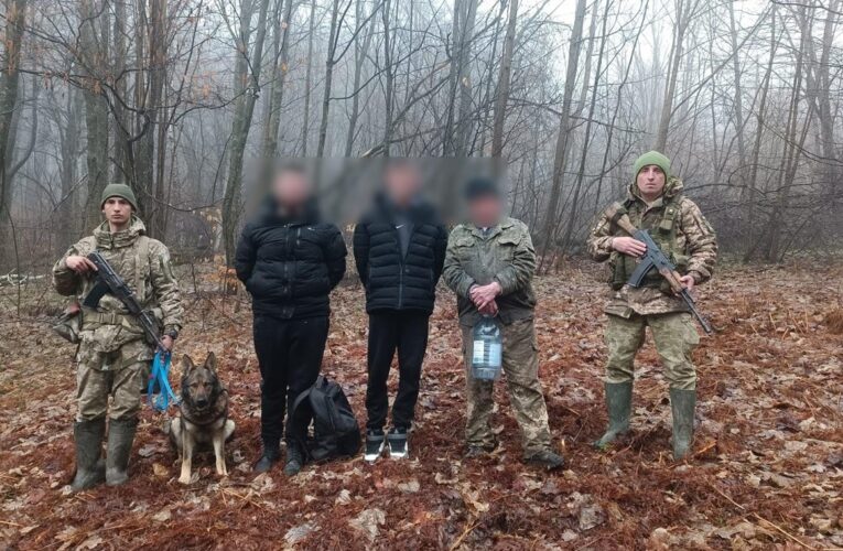 Допомагав ухилянтам тікати через гори: на Закарпатті затримали пенсіонера
