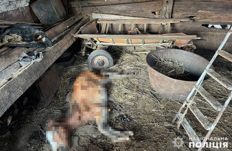 На Хмельниччині чоловік жорстоко поводився з десятками коней