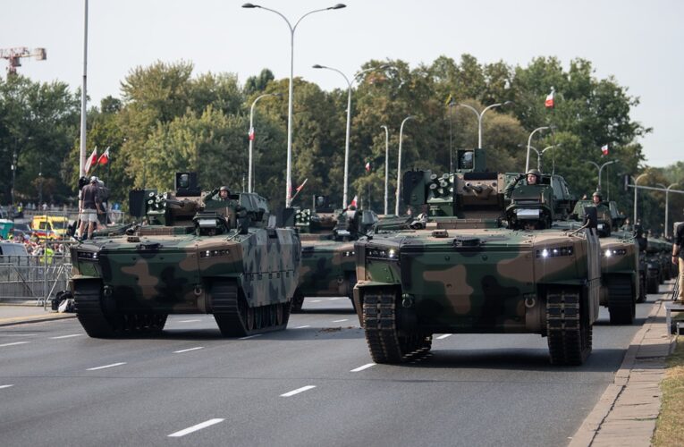 Польща озброїть армію власними БМП Borsuk