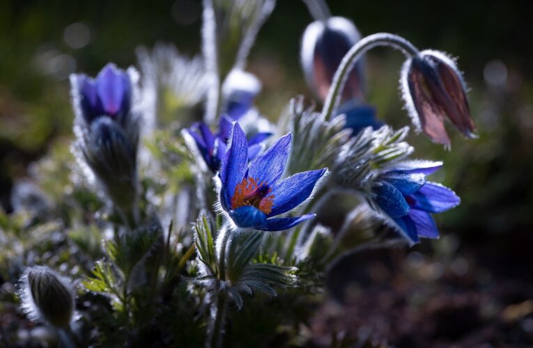 Свята 27 березня 2025 року: що не можна робити в цей день