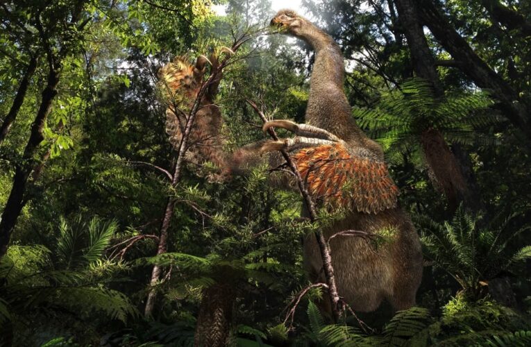 У Монголії знайшли динозавра з двома гігантськими кігтями