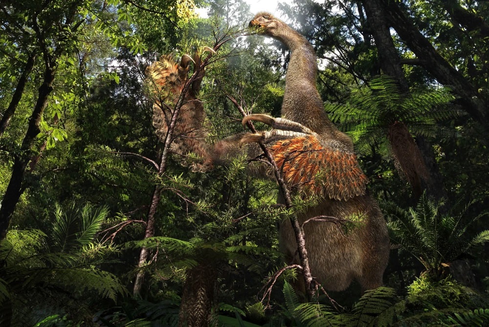 Технології - У Монголії знайшли динозавра з двома гігантськими кігтями