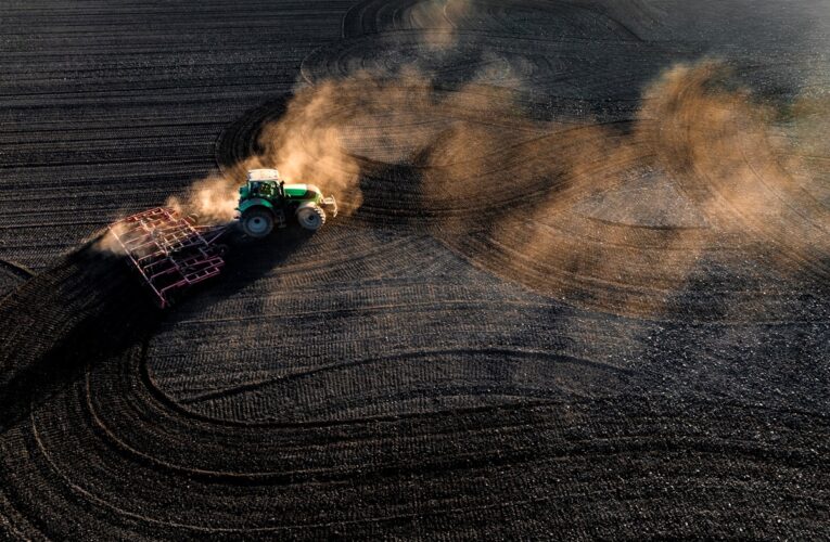 В Україні стартувала сівба цукрових буряків та сої