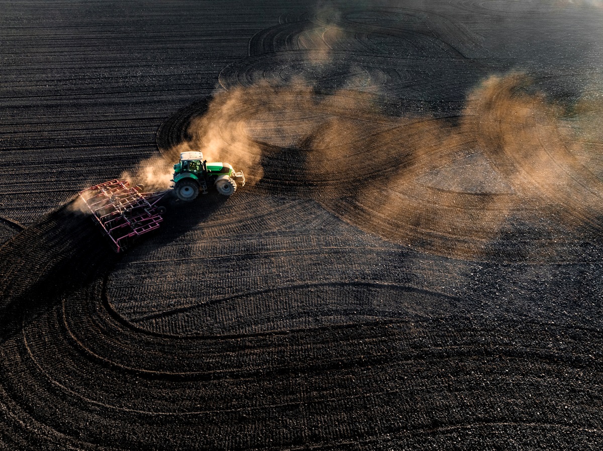 Новини бізнесу - В Україні стартувала сівба цукрових буряків та сої