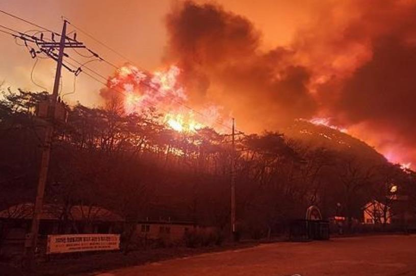 Новини світу - Внаслідок лісових пожеж у Південній Кореї загинули понад 20 людей