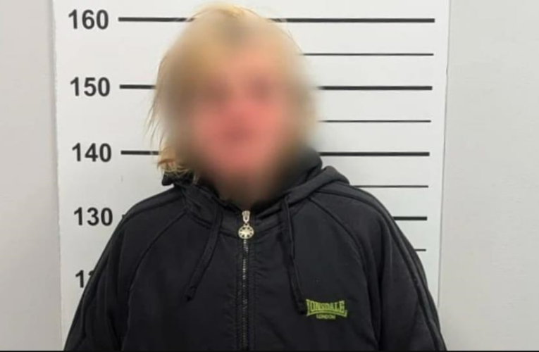 Жінку, яка пошкодила 39 могил у Львові, відправили на примусове лікування