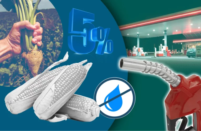 Бензин в Україні почнуть змішувати зі спиртом. Що буде з цінами та чи нашкодить це авто?