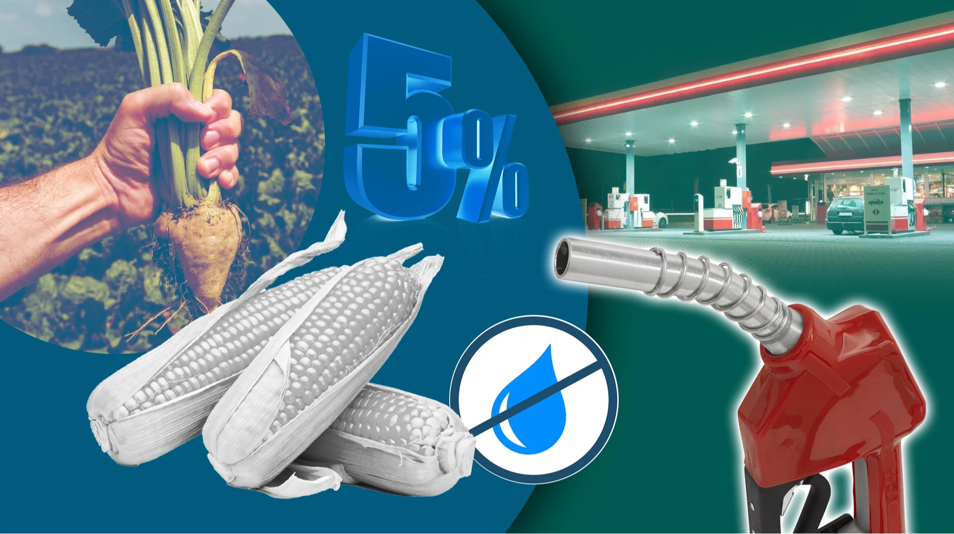 Бензин в Україні почнуть змішувати зі спиртом. Що буде з цінами та чи нашкодить це авто?