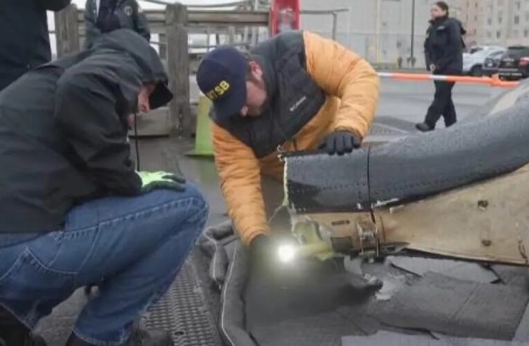 Аварія літака в США: загинула родина лікарів