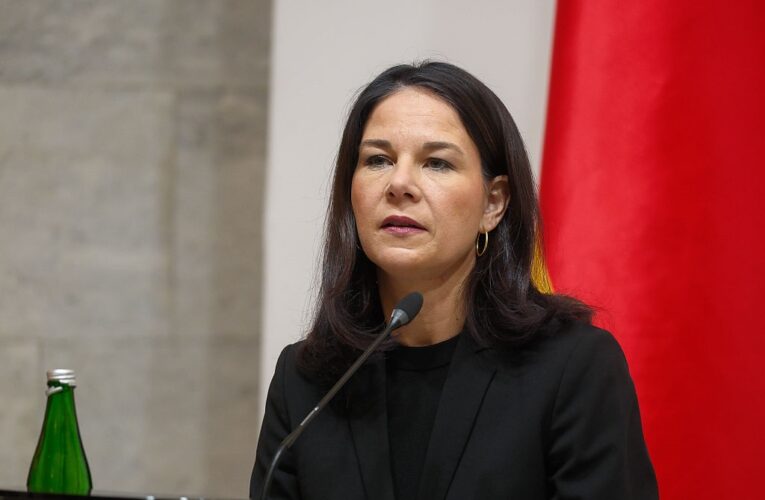 Бербок закликала не довіряти Путіну