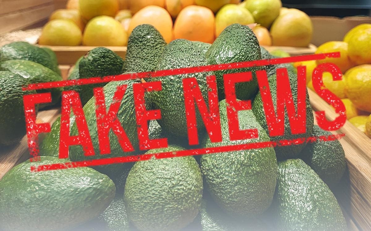 Новини України - Держпродспоживслужба спростовувала чутки про отруйне авокадо