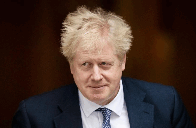 Джонсон розкритикував “мирний план” Трампа