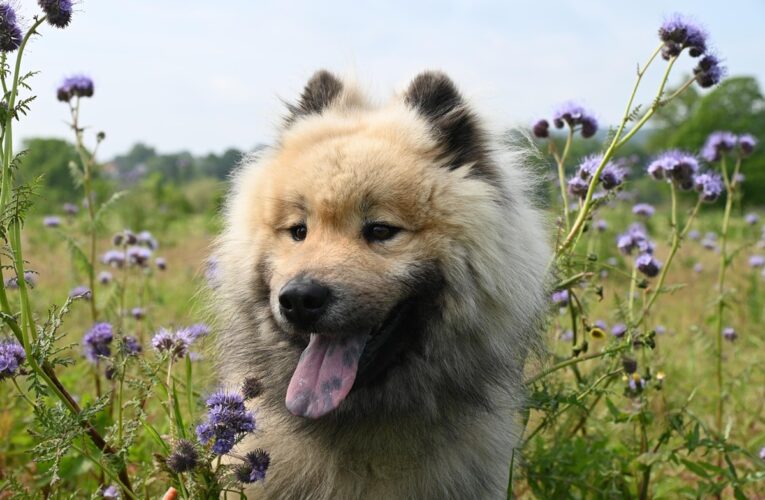 Гороскоп для знаків зодіаку на 1 травня 2025 року