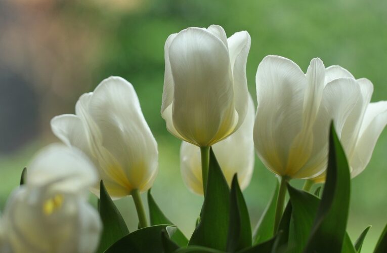 Гороскоп для знаків зодіаку на 9 квітня 2025 року