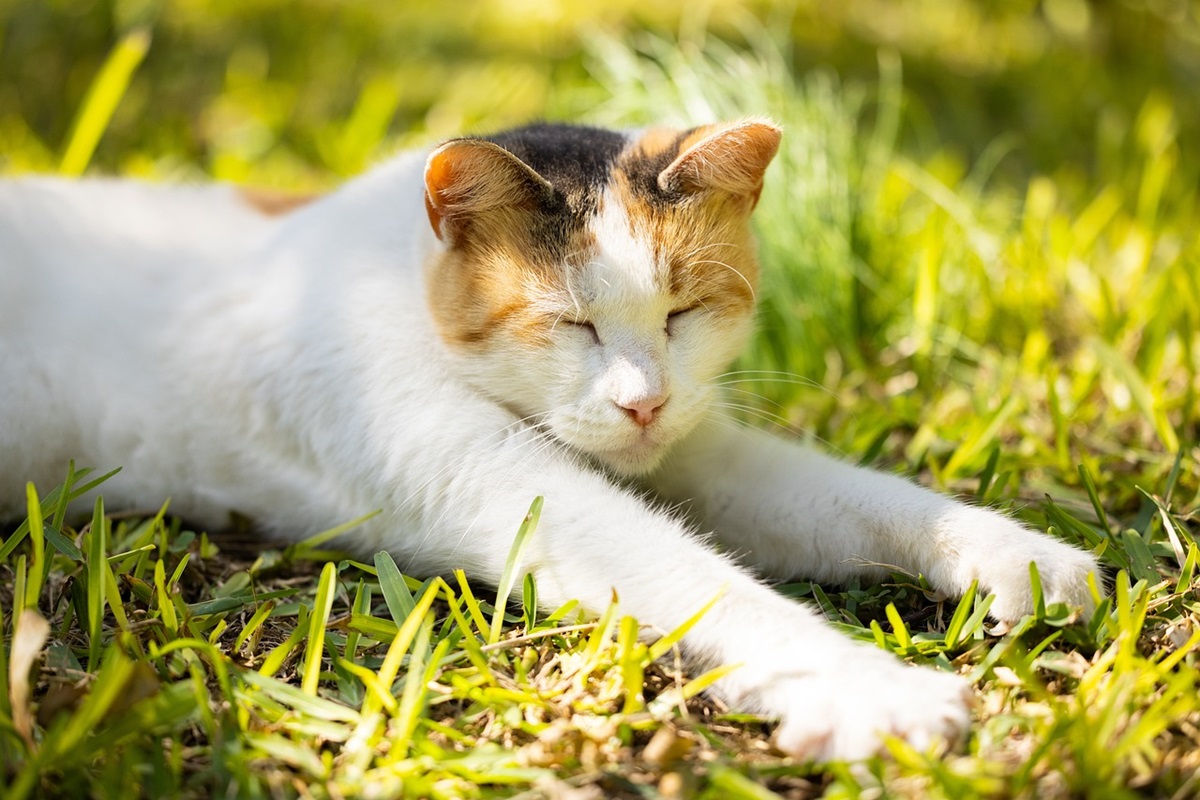 Новини культури - Гороскоп для знаків зодіаку на вихідні 26-27 квітня 2025 року