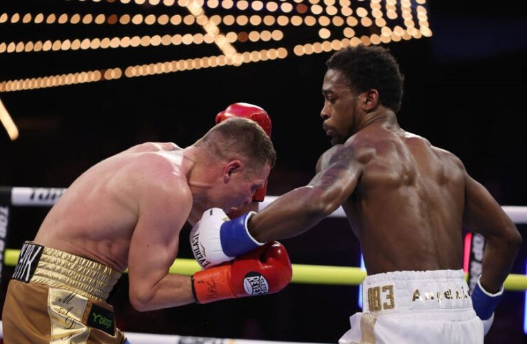 Гвоздик пояснив, чому Берінчик поступився в бою Кішону Девісу