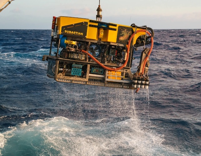 Технології - Колосального кальмара вперше побачили в глибинах океану