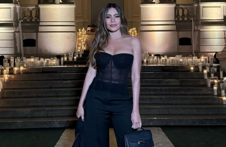 Льюїс Гемілтон і Софія Вергара розійшлися