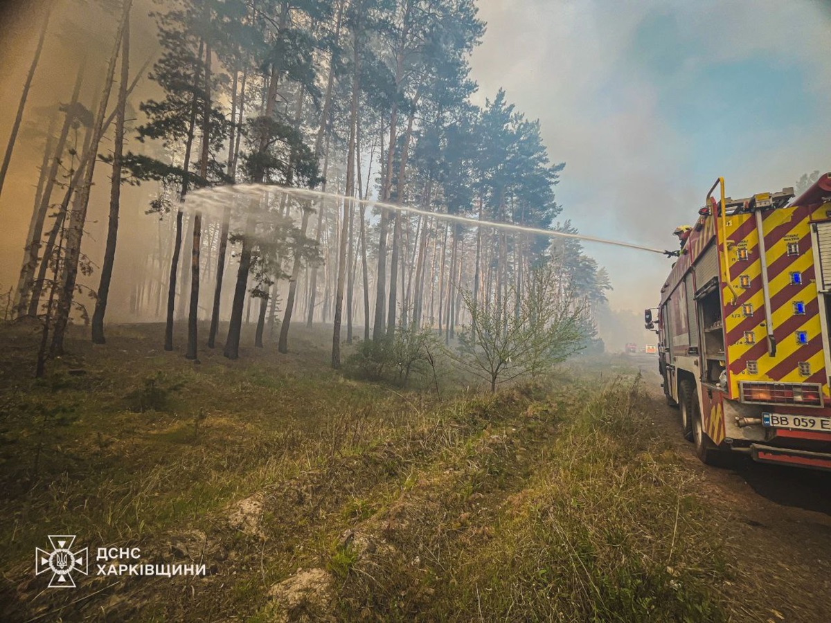 Новини України - На Харківщині триває ліквідація лісової пожежі