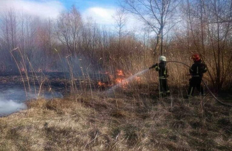 На Київщині двоє людей загинули через спалювання сухої трави