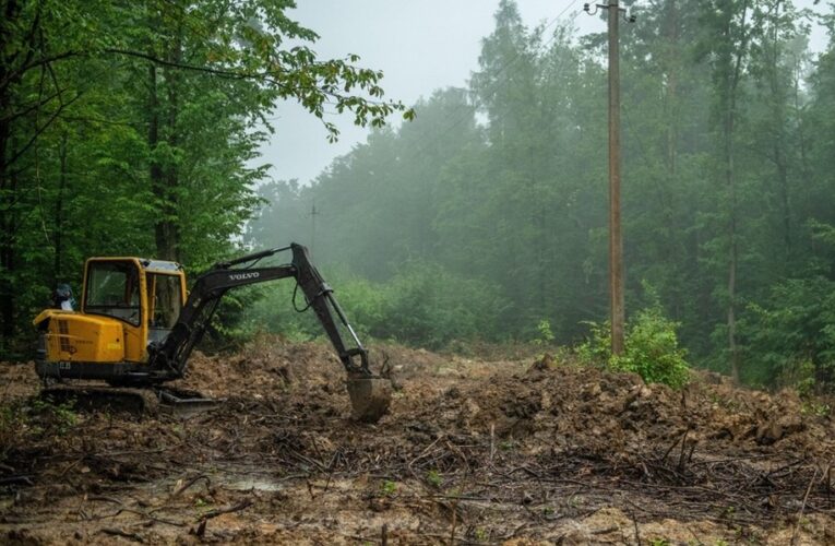 На Тернопільщині почалась ексгумація поляків, убитих в 1945 році