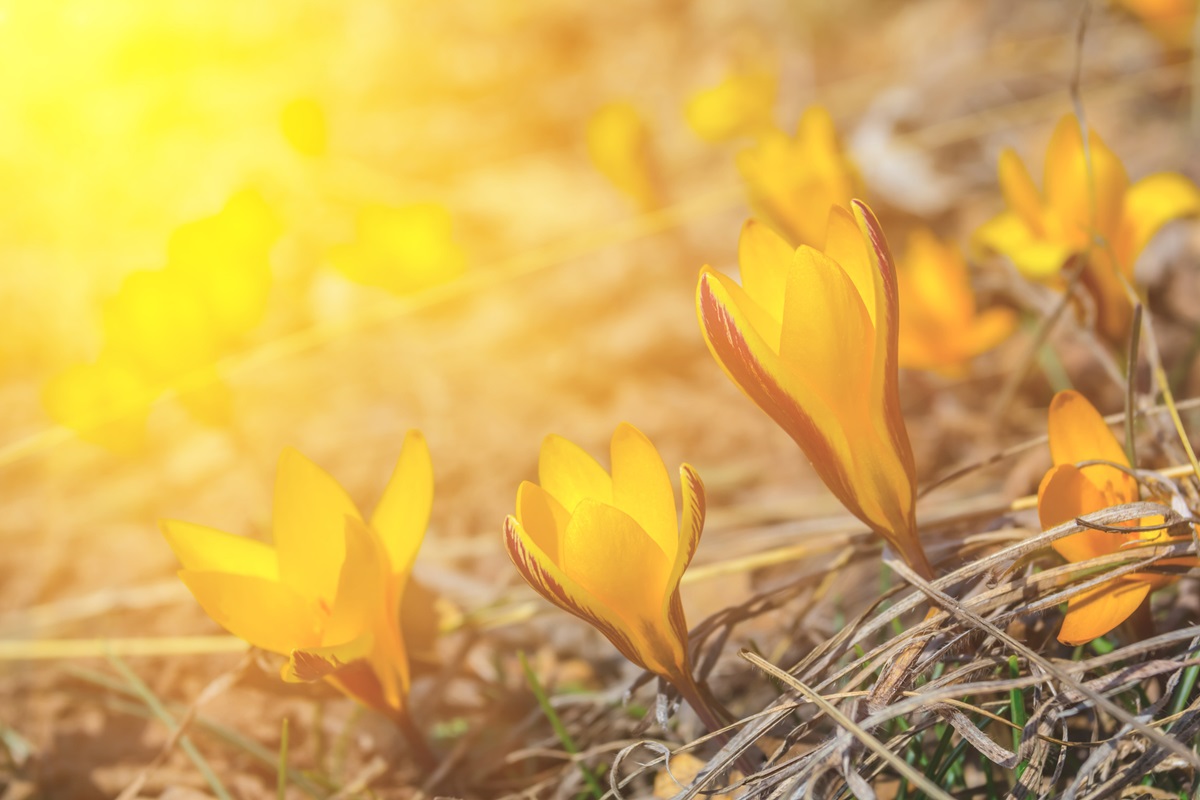 Новини України - На вихідні синоптики прогнозують дощі та нічні заморозки