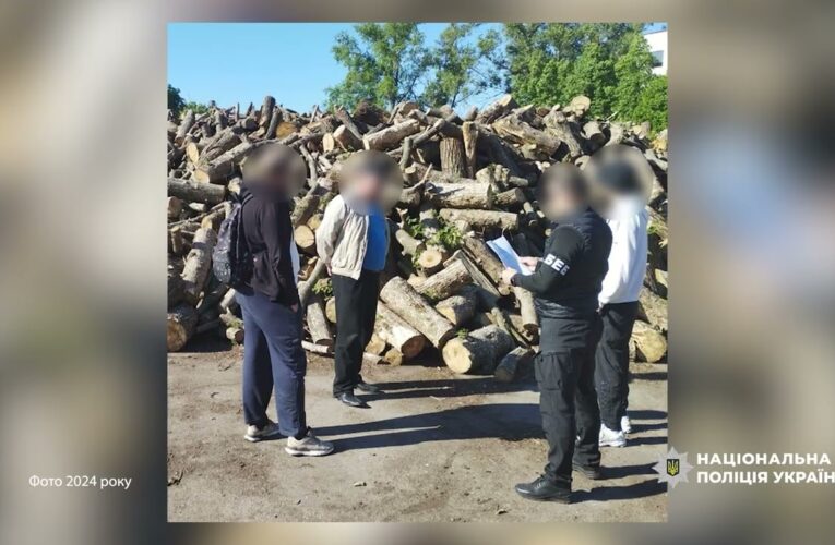 Учасники злочинної організації отримали підозри за розтрату 90 млн під час закупівлі дров для ЗСУ