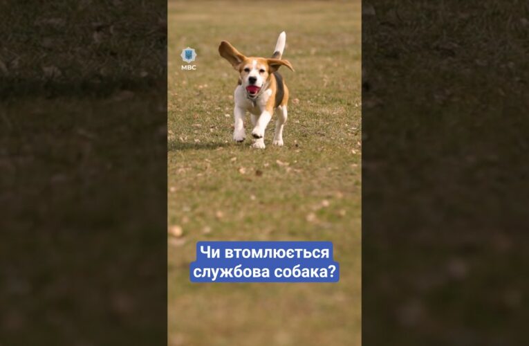 ❓ Чи втомлююсь я