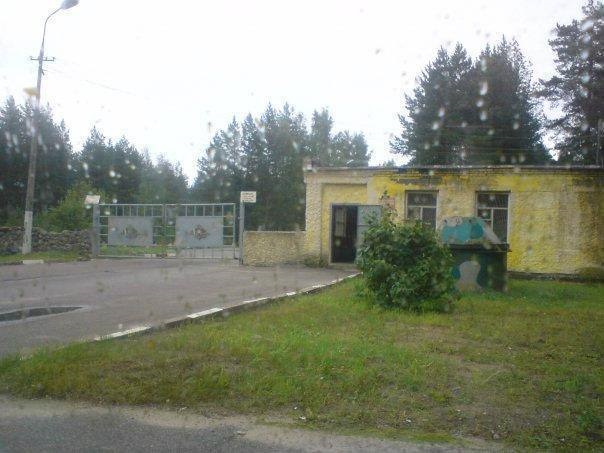 Новини світу - Під Петербургом знайшли тіла двох військових, вбитих однією кулею - ЗМІ