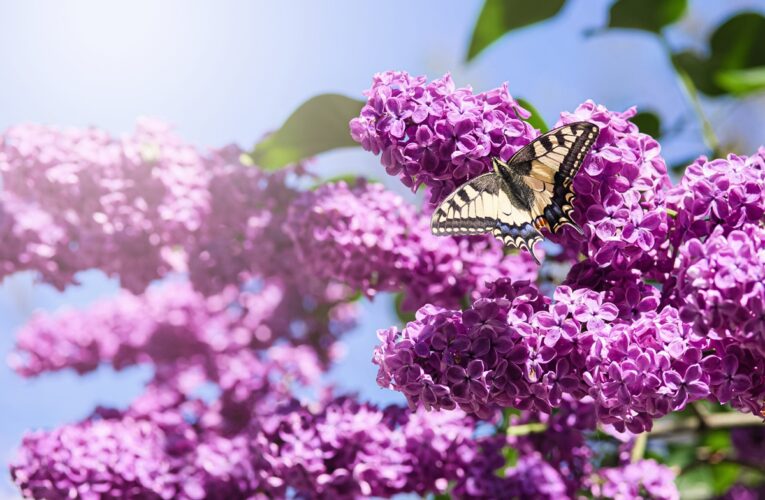 Похолодання і грози: прогноз погоди на вихідні
