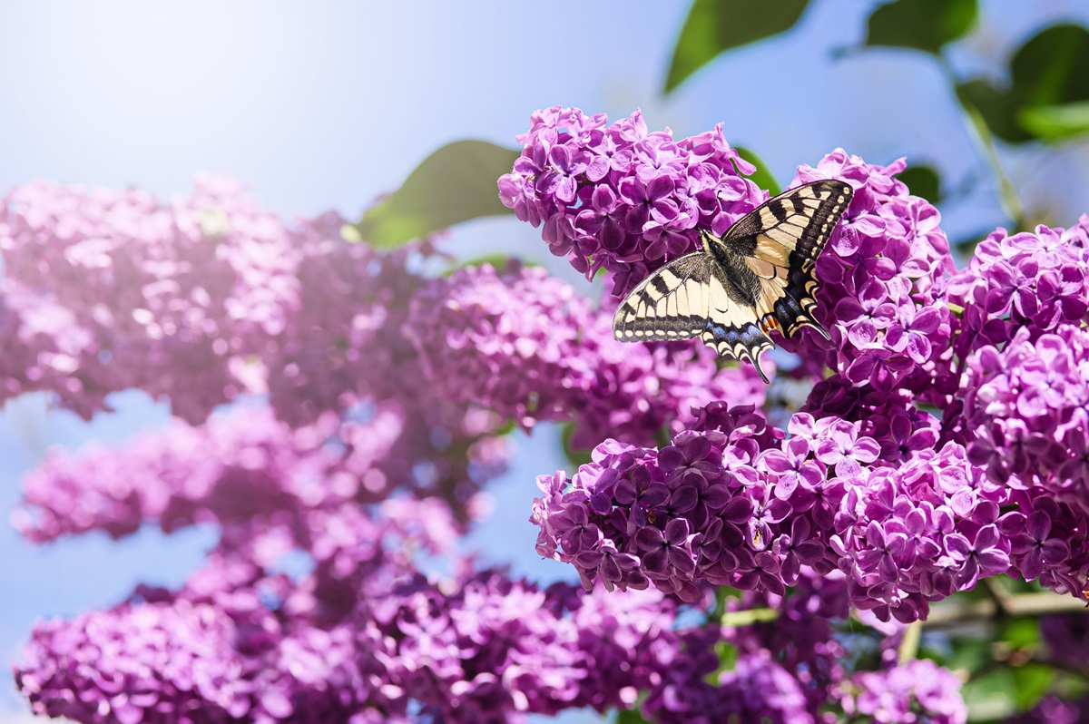 Новини України - Похолодання і грози: прогноз погоди на вихідні