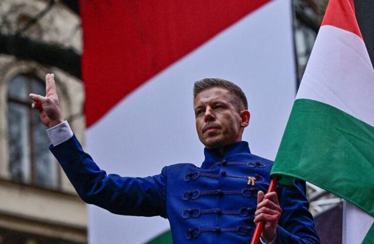 Понад 58% угорців підтримали вступ України до ЄС – опозиція